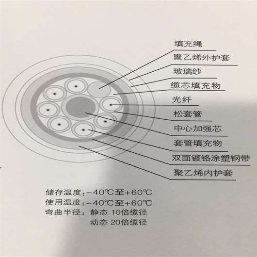 層絞式63護套光纜GYFTS63