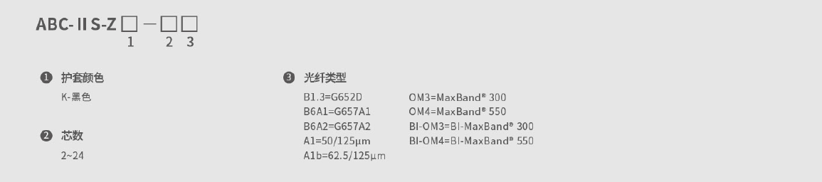 接入光纜 (ABC-IIS)